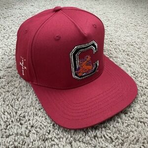 Clemson Tigers Hat Cactus Jack By Travis Scott Mitchell & Ness Red Snapback Cap